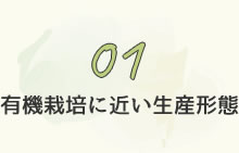 01有機栽培に近い生産形態