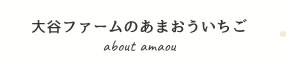 大谷ファームのあまおういちご