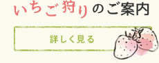 いちご狩りのご案内詳しく見る